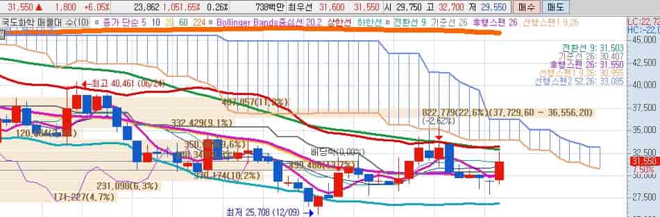 요소수-관련주-국도화학