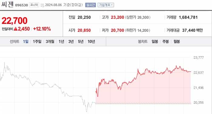 씨젠-주가-전망