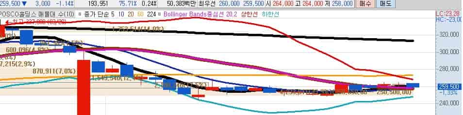 지배구조-개선주-포스코홀딩스