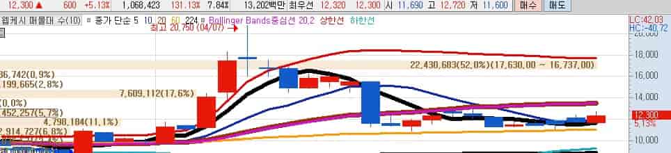 상법개정-정책주-웹케시