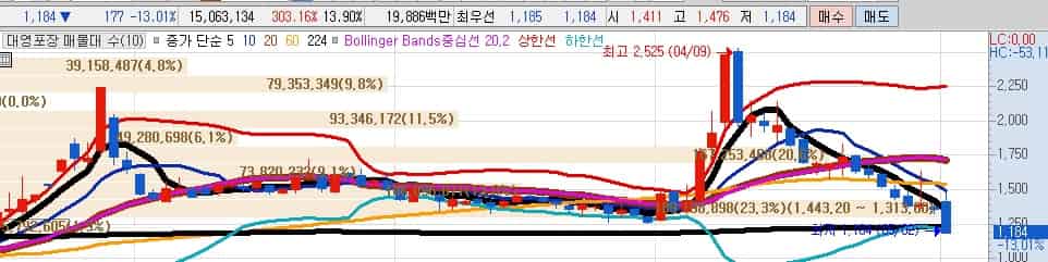 김문수-대장주-대영포장
