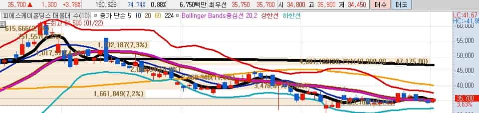 차세대-배터리-소재-관련주-피에스케이홀딩스