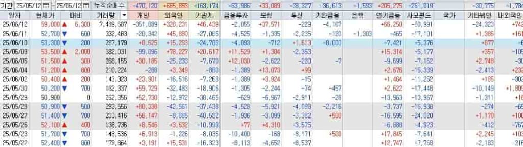 LG씨엔에스-투자자별-매매동향